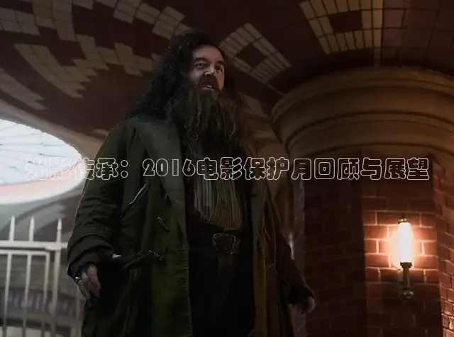 97视频在线